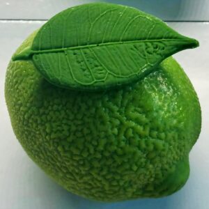 Citron vert en trompe l'oeil